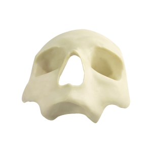 CRÂNIO FRONTAL   All-on-4® Standard - cód. 9012