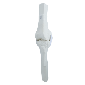 JOELHO PARA CIRURGIA ROBÓTICA - cód. 13304