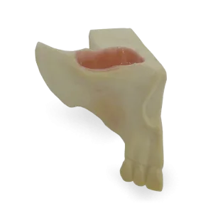 SEIO MAXILAR COM BLOCO DE APOIO - cód. 4055-BA