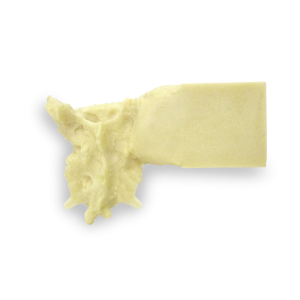 SACRO - GATO - cód. AV170