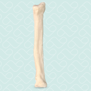 RÁDIO DIREITO - CÃO PEQUENO PORTE - cód. AV310P